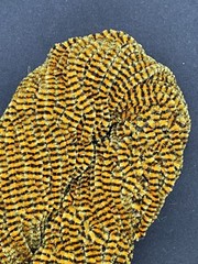 BLACK & ORANGE VARIEGATED RAYON CHENILLE Fly & Jig Tying 5 Yds Size #2 Medium