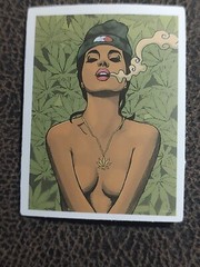 Guitar Laptop Skateboard Cannabi Pot Smoking Makes Girl Weed Decal Sticker