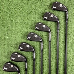 PXG 0311P Gen 4 Xtreme Dark Iron Set 5-PW GW Cypher 4.0 Ladies Womens +1” Long