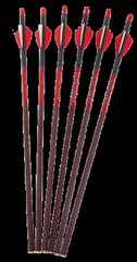 RED HOT 20″ PUNISHER 427 CROSSBOW BOLTS W CAPTURE NOCKS OEM PARKER ARROWS 427 GR