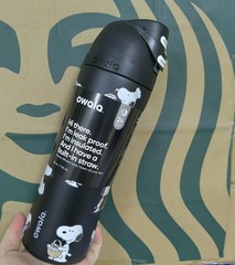 Owala Stainless Insulated Water Bottle Flip Lock 24oz Cute Cartoon Straw Tumbler