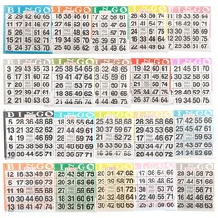 Bingo Paper Cards – 20 Sheets – 50 Books – Play 20 Games – 4 Inch Square Size –