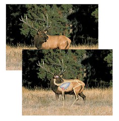 Perfect Shot North American Big Game Targets – Elk Safari Press Hunting