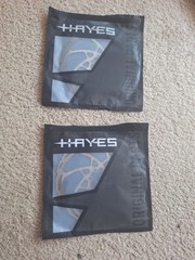 PAIR Hayes D-Series 203mm Silver Disc Brake Rotor | 6-Bolt, 98-36153-k001