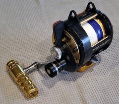 Daiwa Sealine SLD 20 2-Speed Reel Blueprinted Made In Thailand