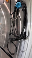 Lara Tweedie AntiGravity Snaffle Bridle
