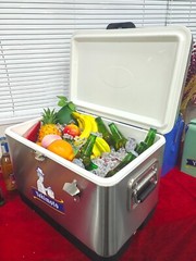 Vintage Cooler 54 QT Creative Yakimoto Outdoor Stainles Steel Legacy Ice Chest