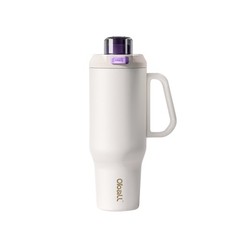 42 oz Insulated Tumbler with Handle, Dishwasher Safe Water Bottle with Lid & …