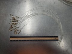 Lot of 20 Snelled Saltwater 2/0 Hooks – 50 lb. 18″ Porgy Seabass Fluke Blackfish