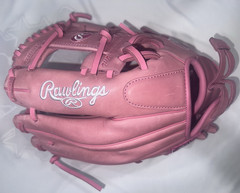 Rawlings Gold Glove Elite fast pitch GGEFP121F 12 inch fastpitch softball glove