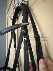 Black Wintec English Bridle Set with 5” Never Rust bit, Webbed Reins +Flash
