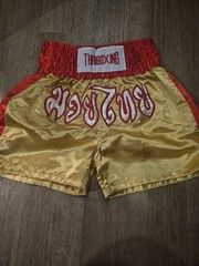 Muay Thai Shorts XXL Boxing Thailand Grappling Martial Arts Gear Satin Fabric