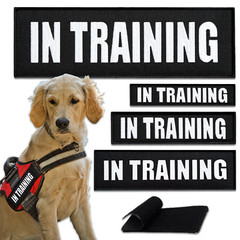 4Pcs In Training Dog Patch Set, Embroidered Dog Patches for Service Dog