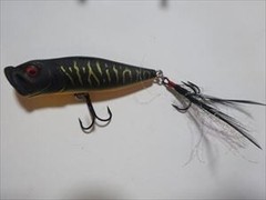 [Non-standard mail mail] «Immediate decision available» Rare color Megabass