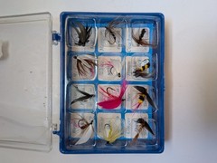 Trouut Fly Assortment, 12 #10 flies in plastic box