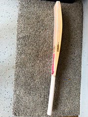 Gray Nicolls Legend Cricket Bat | Beige Red White