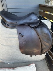 2017 Voltaire Palm Beach 17in