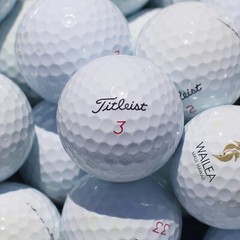 50 Titleist Pro V1x Used Golf Balls 3A / AAA Quality FREE SHIPPING