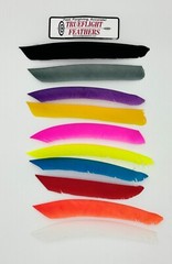 Trueflight Full Length Feathers – Left/Right Wing – Solid Color