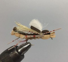 One Dozen (12) – Sandwich Hopper – Tan – Terrestrial
