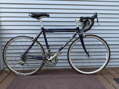 Custom Racing Steel Holland Bicycle | Triathlon & Road | Size Small (5’3″)