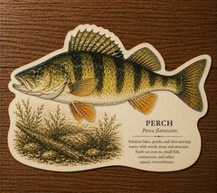 Perch Fish Decal, Glossy Vinyl, Easy to Apply