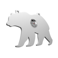 Dragon Targets Bear 3/8″ AR500 Steel Shooting Target