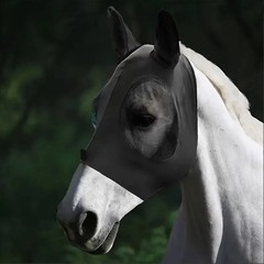 Breathable Horse Face Mask, Comfortable Mesh Horse Fly Mask with Ear Covers, Equ