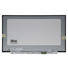 OEM 17.3 inch LCD Screen 1920×1080 Mat 40Pin EDP, IPS, 144Hz