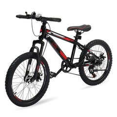 Kids Mountain Bike, 20 inch Kids’ Mountain Bicycles for Young Riders