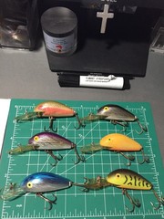LOT OF 6 VINTAGE 1/2 OZ. REBEL SUPER R RATTLING CRANKBAITS MADE IN USA