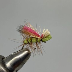 One Dozen (12) – Never Sink Caddis – Olive – Dry Fly