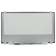 OEM 17.3 inch LCD Screen 1920×1080 Mat 40Pin EDP, IPS, 120H