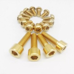 12Pcs Rainbow M5x10mm Titanium/Ti Bolts Torx T25 Head Disc Brake Rotor Bolts