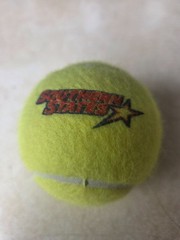 College University Logo Tennis Ball Brand New Conference Southern States