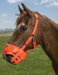 The Original Horse Grazing Muzzle – Black or Orange – 7 Sizes
