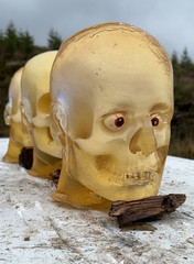 Fully Loaded Ballistic Gel Head (Skull,Brain,Eyes,Blood)- Go Ballistic NW