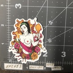 Sm. Sexy Punk Girl Adult Humor Sticker For Guitar Laptop Phone Mat107
