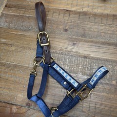 Perri’s Cob/large Pony Size Nylon Ribbon Safety Halter with a custom nameplate