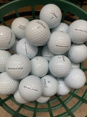 50 TITLEIST PRO V1 WHITE =MINT= 5-A CONDITION
