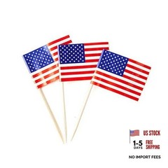American Flag USA Flag, Small Mini American Toothpick Flags for Food, Usa