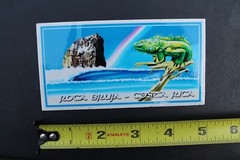 Costa Rica Roca Bruja Lizard Witch Rock Surfboards V48B Vintage Surfing STICKER