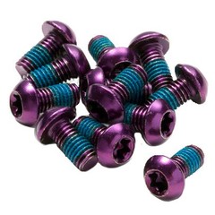 Purple M5x10 T25 Steel Disc Rotor Bolts – 12 Pack for Mountain and Road Bikes