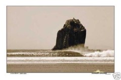 Aaron Chang Witch’s Rock La Roca Bruja Costa Rica Surfing Poster 24 x 36