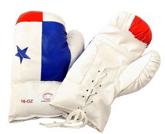 Panama 16 Oz. Boxing Gloves 1 Pair Vinyl Leather Glove Practice & Training