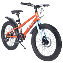 20″ Kids Bicycle,7-Speed Fat Tire Mountain Bike for Boys & Girls Age 5 + Years