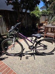 Pre-owned – Schwinn GTX 3 Women’s Hybrid Bike – Purple – Excellent condition