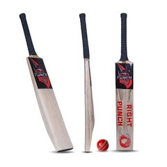 Cricket Hard Ball Bat – Premium Wooden Bat | Short Handle | Professional Leather