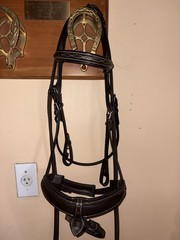 Free Ride Equestian Removable Flash Havana, COB