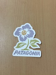 Patagonia Flower Taiwan Decal Limited Exclusive